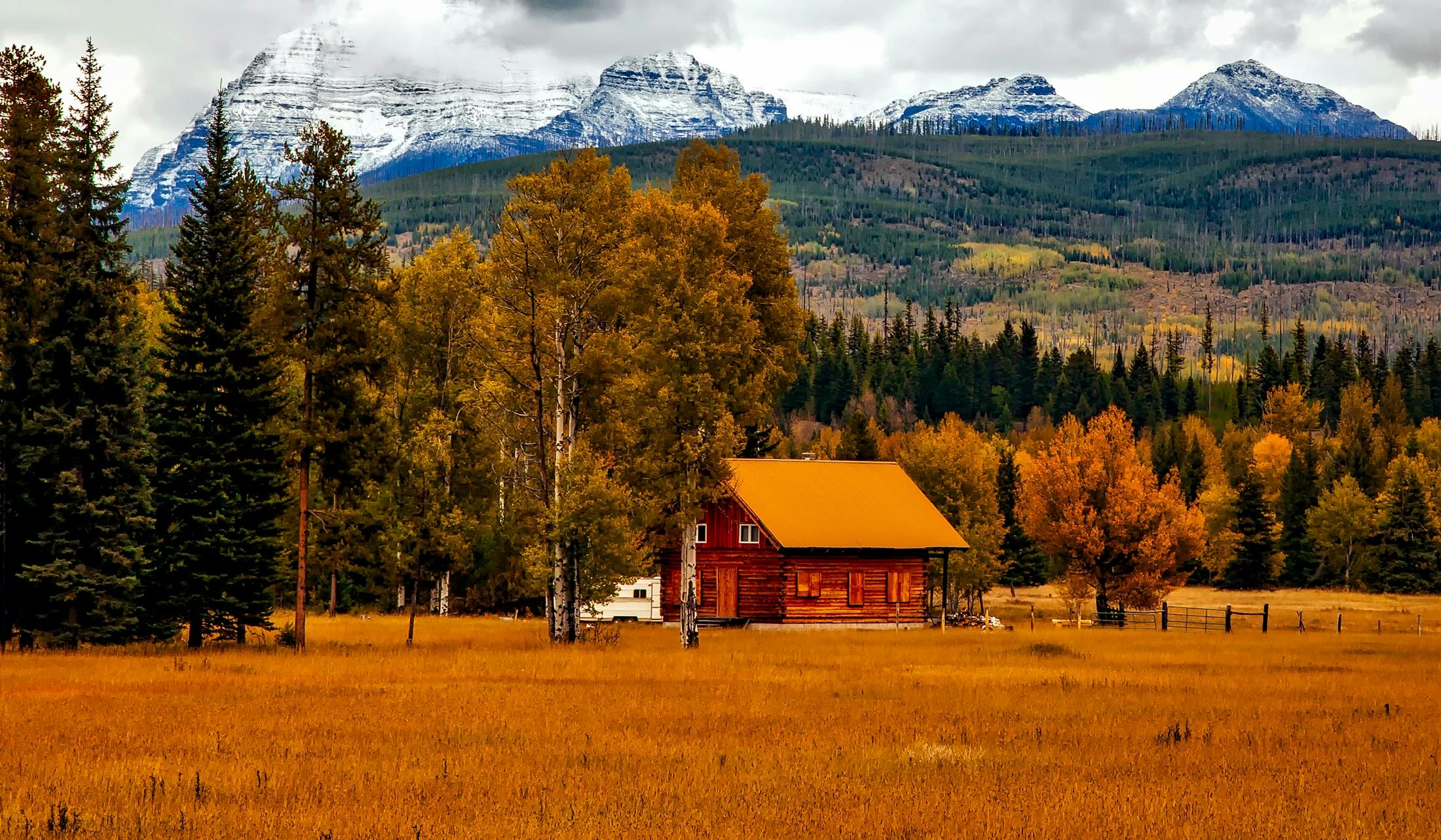 Cogitate and Xceedance Partner to Help Colorado FAIR Plan Launch New Residual Market Insurer in 16 Weeks