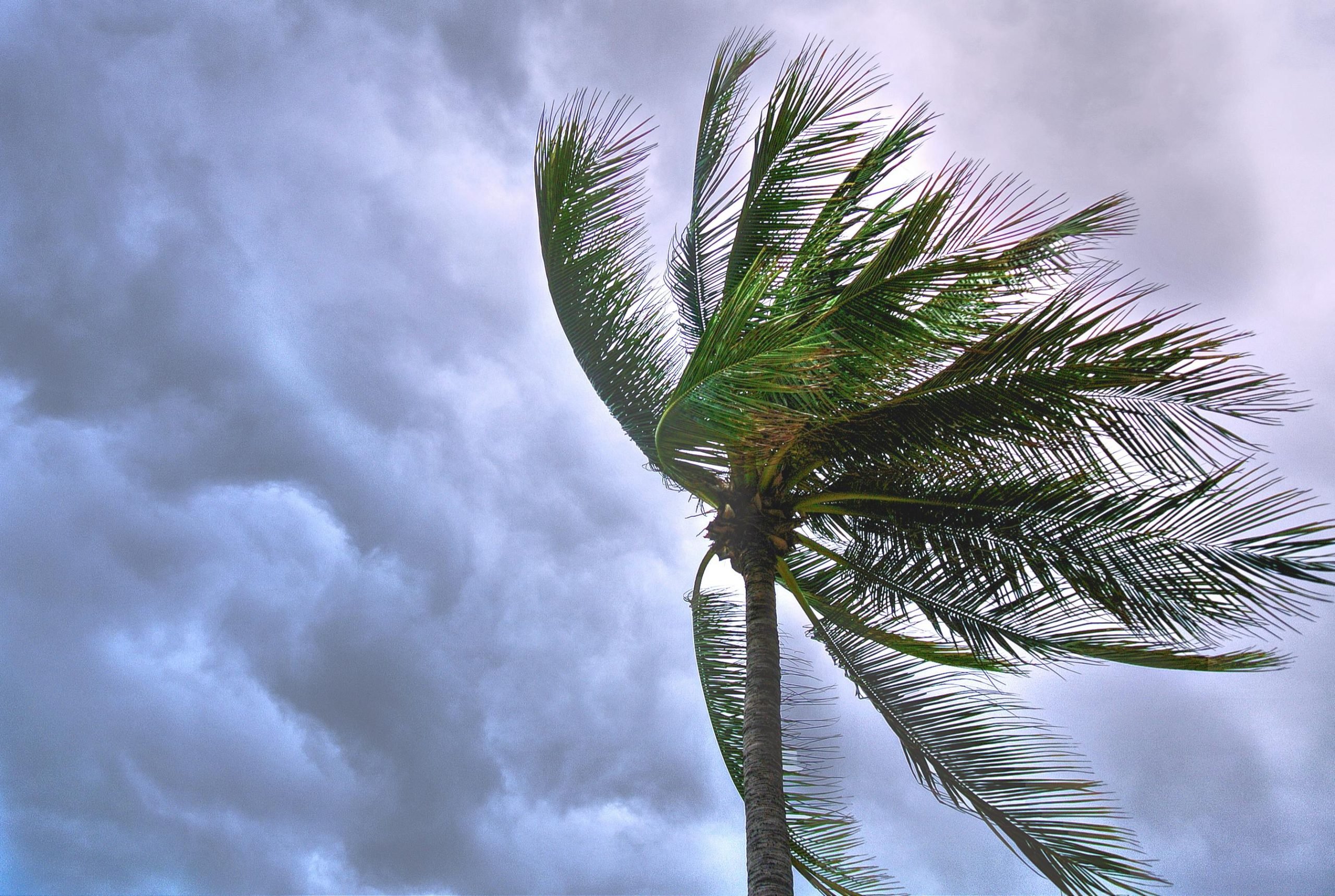 Building for the Storm – How U.S. Construction Practices Are Evolving to Withstand Hurricanes